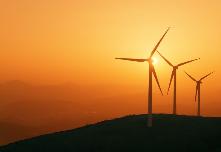 Transition écologique : les secteurs qui recrutent massivement