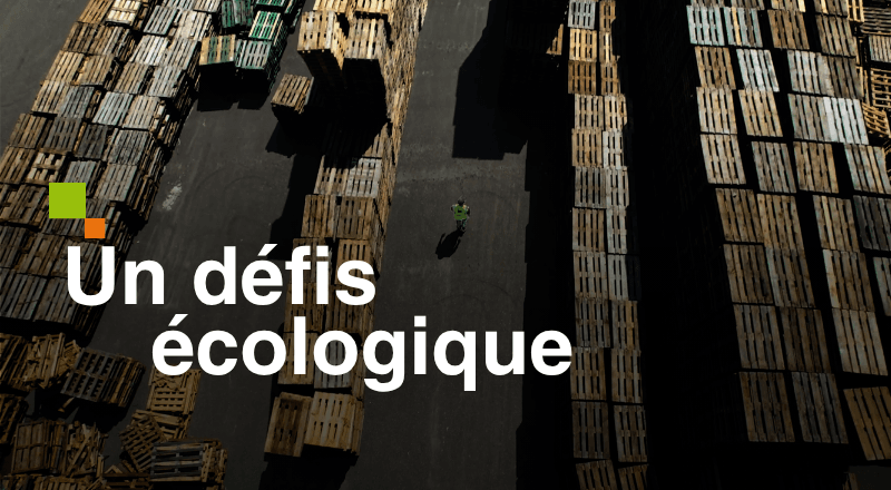 Il reconditionne les palettes