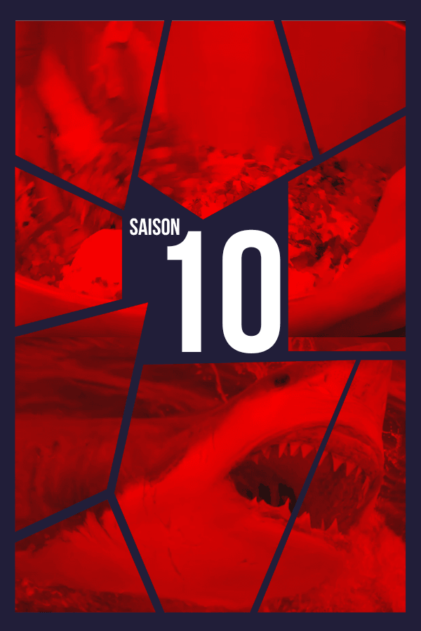 Palmarès Saison 10