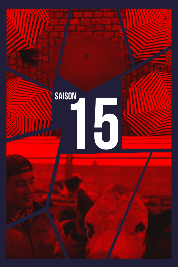 Palmarès Saison 15