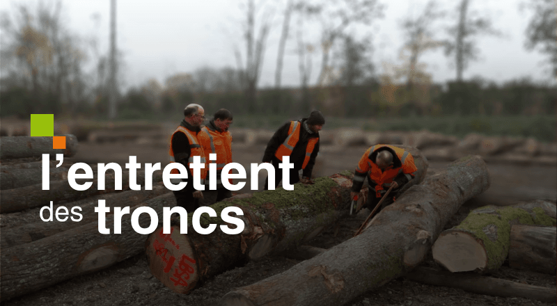 Le responsable du parc à grumes