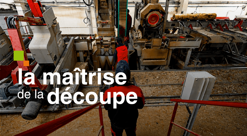 Le scieur de tête !